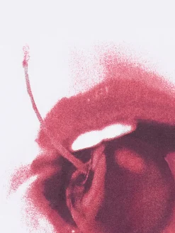 Biała koszulka z motywem ust