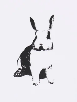 Koszulka z nadrukiem królika